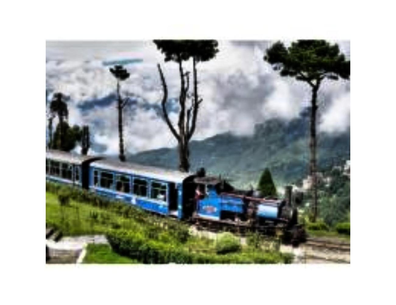 Jambling Sherpa Homestay , Darjeeling ダージリン エクステリア 写真